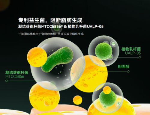 从源头守护肝脏健康 LAIFE「乐轻肝」三重护肝策略的医学三维分析